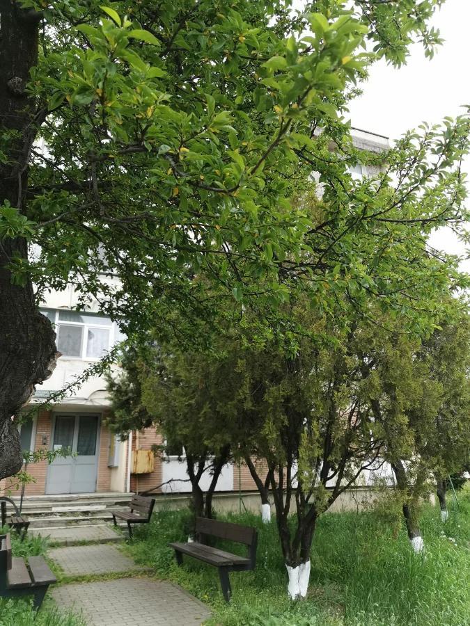 Apartament Asr بياترا نام المظهر الخارجي الصورة