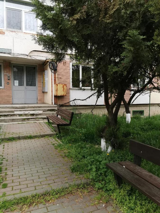 Apartament Asr بياترا نام المظهر الخارجي الصورة
